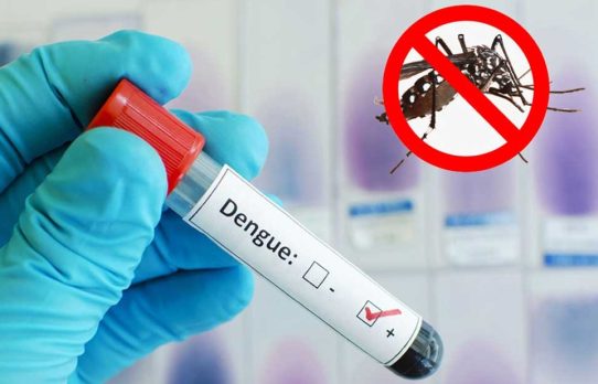 দেশজুড়ে জুলাই-সেপ্টেম্বরে ‘ডেঙ্গু’ ভয়াবহতার শঙ্কা