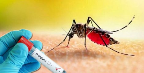 ডেঙ্গুতে ২ জনের মৃত্যু, হাসপাতালে ১৫৭
